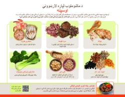 TIPS FOR CHILDHOOD IRON (Pashto) 