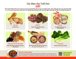 Tips for Childhood Iron (Vietnamese) 