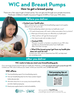 WIC And Breast Pumps (Bilingual) 