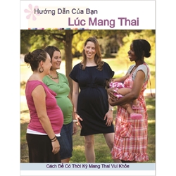 Your Guide To Pregnancy (Vietnamese) 