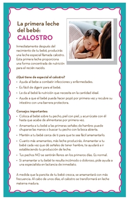 Colostrum Flyer (Spanish) 