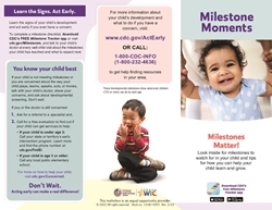 Tracking Your Childs Developmental Milestones 