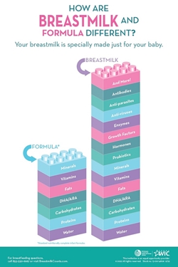 How Are Breastmilk And Formula Different? 