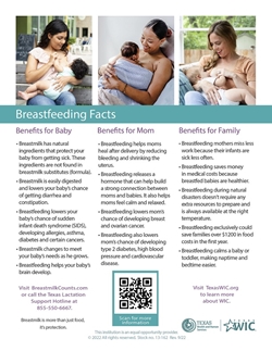 Breastfeeding Fact Sheet 