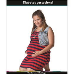 Gestational Diabetes My Pregnancy, My Baby And Me (Spanish) 