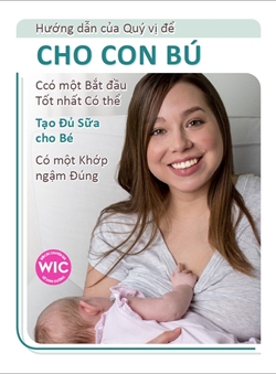 Your Guide To Breastfeeding (Vietnamese) 