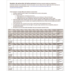 Breast Pump Log (Spanish) 